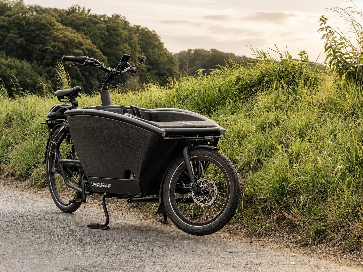 Lastenrad am Wegesrand
